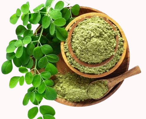 Moringa Powder